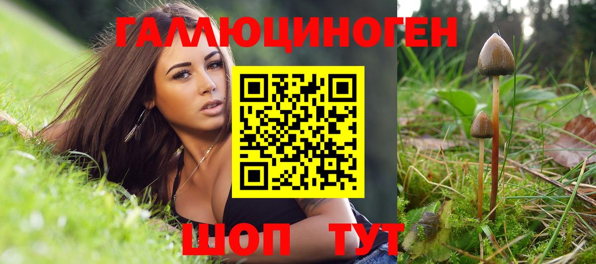 магазин продажи наркотиков  Псилоцибиновые грибы прущие грибы  Вход с VPN  Клин 