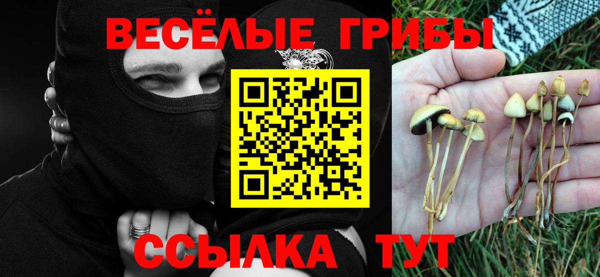 Галлюциногенные грибы Psilocybine cubensis Клин